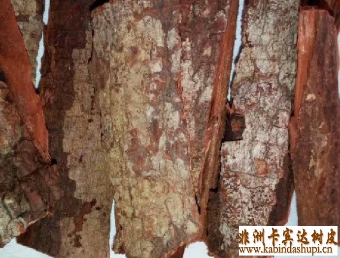 卡宾达树皮副作用，卡宾达树皮价格，卡宾达树皮的用法，卡宾达树皮哪里有卖，